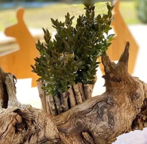 Gemuetliche Im Bergdoktordorf * المو