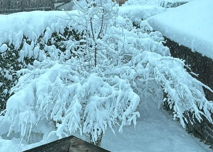 Gemuetliche Im Bergdoktordorf بيت للعطل المو