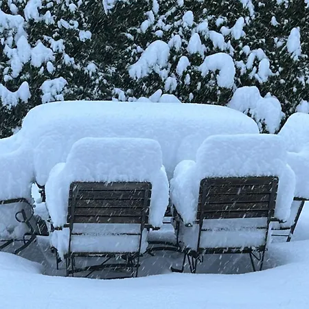 Gemütliche Im Bergdoktordorf Ferienhaus Ellmau